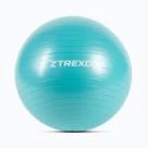 Гимнастически топки TREXO