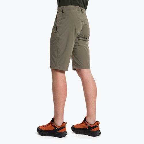 Мъжки къси панталони за туризъм Salewa Talveno DST brown 00-0000027064