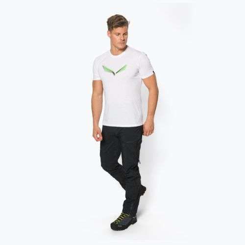 Мъжка тениска за трекинг Salewa Lines Graphic Dry бяла 00-0000028065