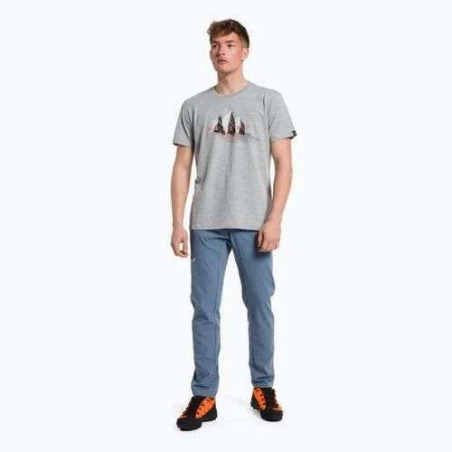 Salewa Lines Graphic Dry мъжка тениска за трекинг сива 00-0000028065