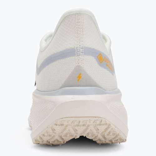 Мъжки обувки за бягане Nike Pegasus 41 GTX sail/football grey/sundial/ashen slate
