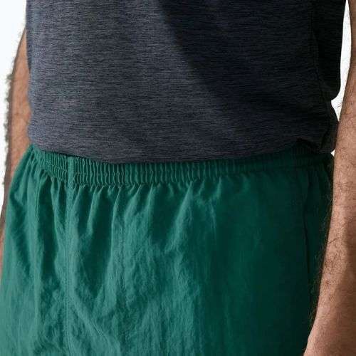 Мъжки шорти Patagonia Baggies 5“ 95 oval logo/gem green