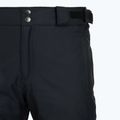 Мъжки скиорски панталони Columbia Bugaboo V black 12