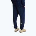 Мъжки панталони за трекинг The North Face Simple Dome Light Regular Tapered Jogger summit navy 3