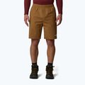 Мъжки къси панталони The North Face Limestone utility brown
