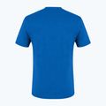 Мъжка тениска за трекинг Salewa Alpine Hemp Logo blue 00-0000028132 5