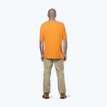 Мъжка риза за трекинг Salewa Agner Hemp/Dst turmeric 3