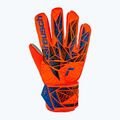 Вратарски ръкавици Reusch Attrakt Starter Grip hyper orng/elec blue 2
