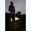 Дамски туристически обувки Jack Wolfskin Wild Hike Texapore Mid oyster 13
