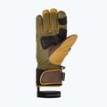 Мъжки скиорски ръкавици ZIENER Guard GTX + Gore Grip PR alpine dark/brown 9
