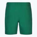 Мъжки бански шорти Nike Essential 7" Volley bicoastal 2