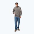 Мъжки суитшърт Pitbull Sampson Hooded Sweatshirt taupe 2