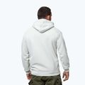 Мъжки суитшърт Pitbull Orlando Hooded white stone 3