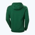 Мъжки потник за трекинг Helly Hansen F2F Organic Cotton Hoodie malachite 5