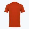 Мъжки EA7 Emporio Armani Visibility Cotton Crew Тениска с чай от ройбос 2