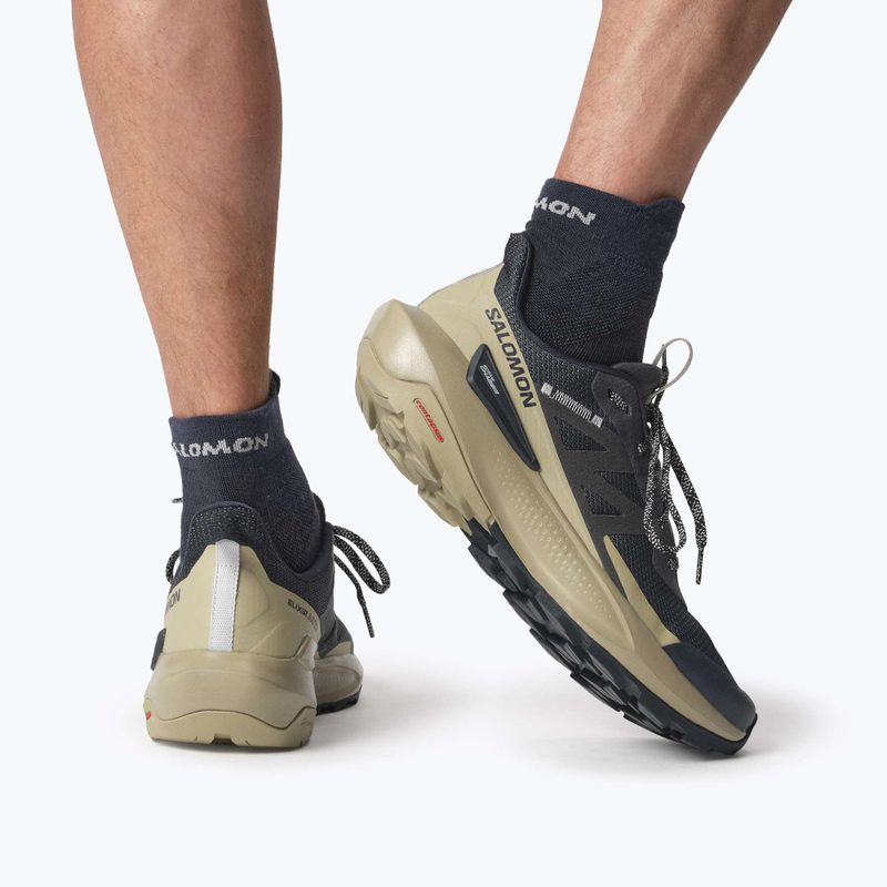 Мъжки туристически обувки Salomon Elixir Activ carbon/slate green/glacier 15