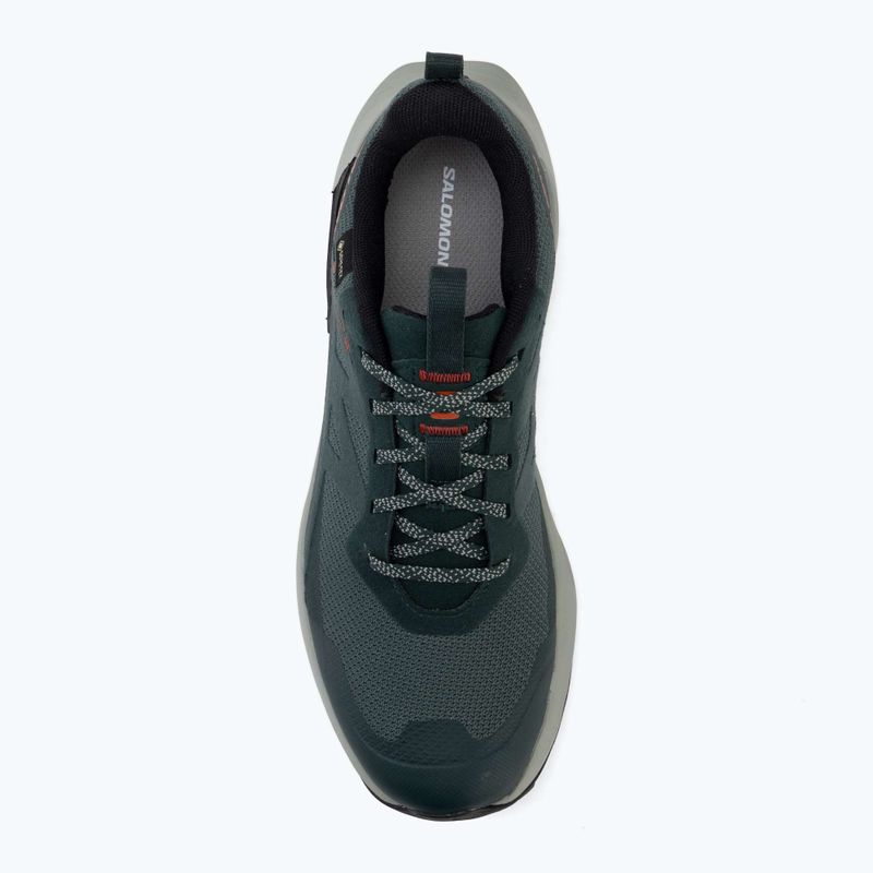 Мъжки туристически обувки Salomon Elixir Activ GTX scarab/green gable 5