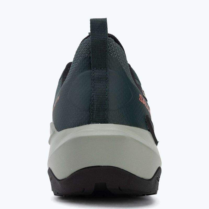 Мъжки туристически обувки Salomon Elixir Activ GTX scarab/green gable 6