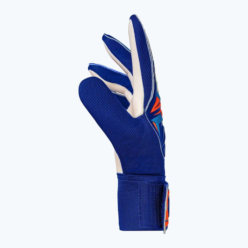 Детски вратарски ръкавици Reusch Attrakt Starter Solid Junior sharp blue/white/shocking orange 4