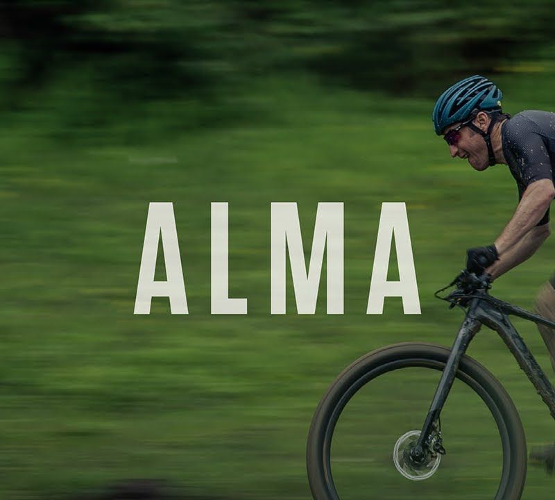 Планински велосипед Orbea Alma H50 черен/зелен 17