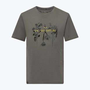 Мъжка тениска Salewa Eagle Nature faded green